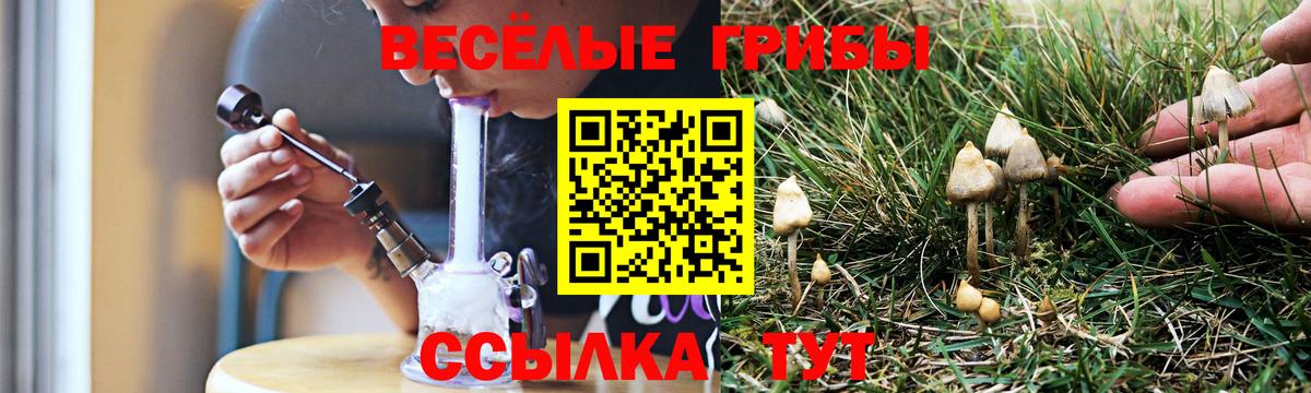 Сертолово  Галлюциногенные грибы Magic Shrooms  Вход с VPN 